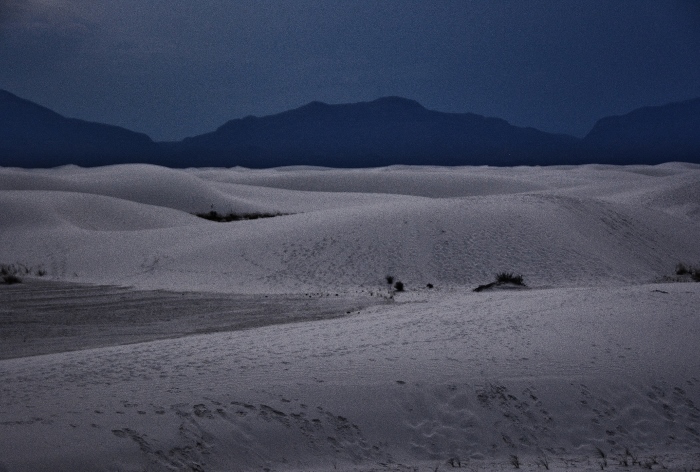 white dunes at night